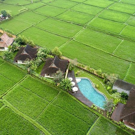 Kabinawa Ubud Villas By Pramana Villas 外观 照片
